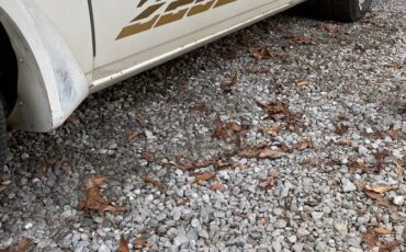 Chevy-camaro-z28-1981-6