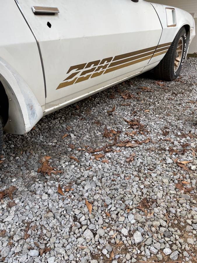 Chevy-camaro-z28-1981-6