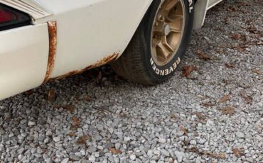 Chevy-camaro-z28-1981-7