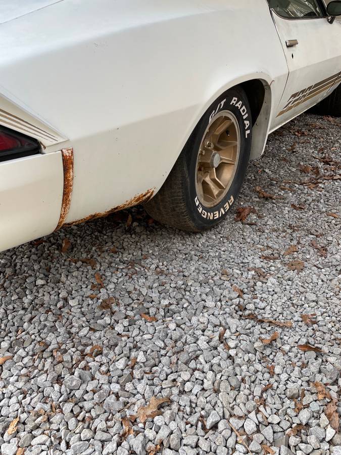 Chevy-camaro-z28-1981-7