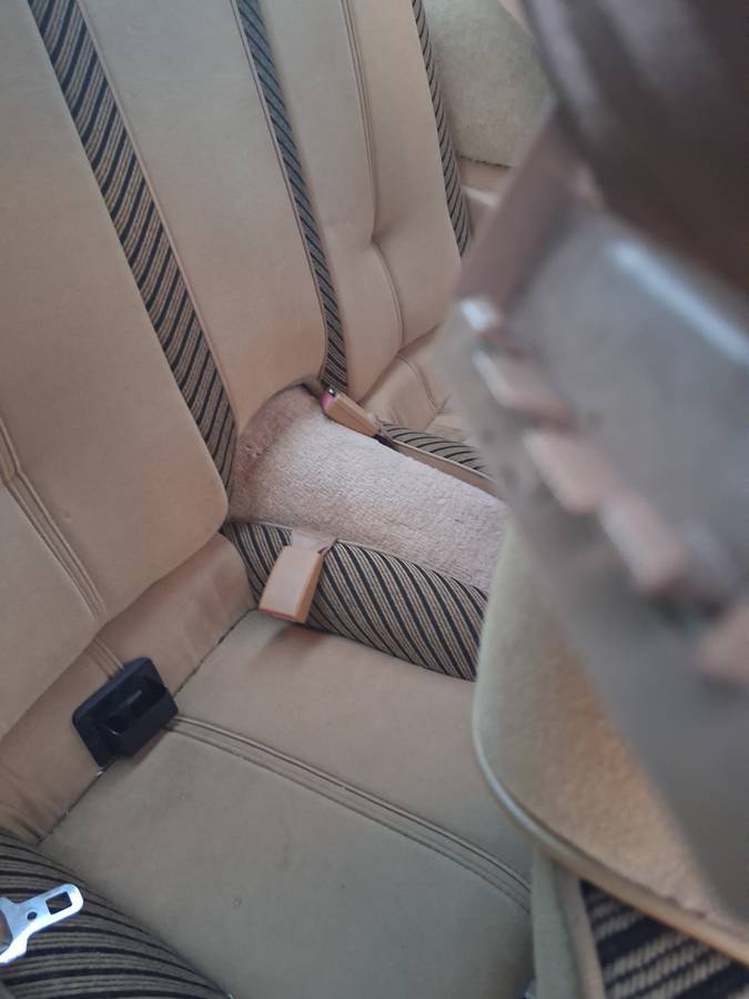 Chevy-camaro-z28-1984-2