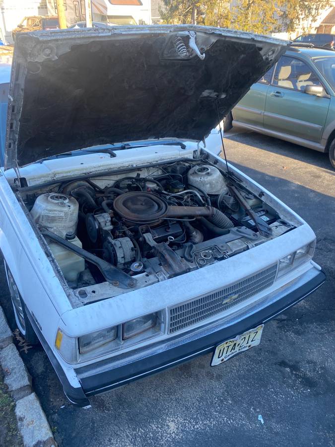 Chevy-celebrity-1986-white-1