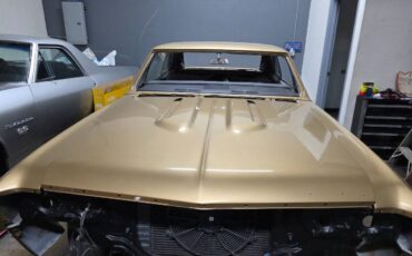 Chevy-chevelle-1967-white-2