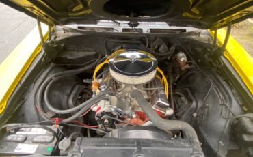 Chevy-chevelle-1971-yellow-14