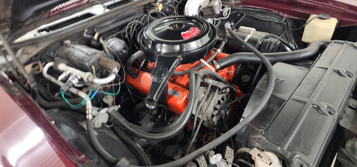 Chevy-chevelle-malibu-1969-10