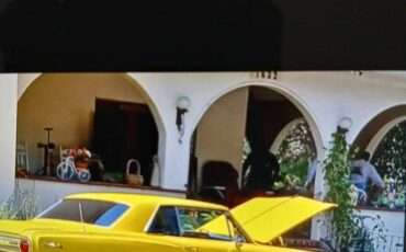 Chevy-chevelle-malibuess-1965-yellow