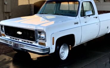 Chevy-chevrolet-gmc-c10-c-10-c20-c-20-1974-white-1