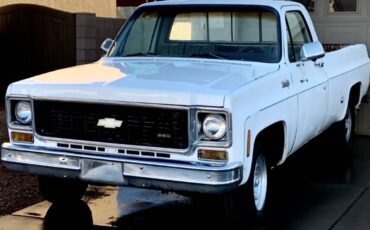 Chevy-chevrolet-gmc-c10-c-10-c20-c-20-1974-white-2