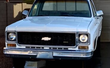 Chevy-chevrolet-gmc-c10-c-10-c20-c-20-1974-white-6