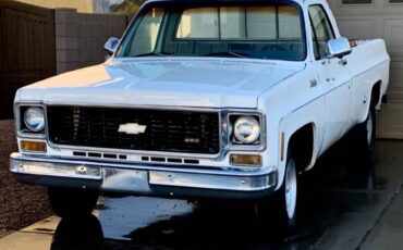 Chevy-chevrolet-gmc-c10-c-10-c20-c-20-1974-white-8