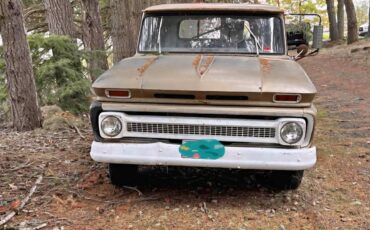 Chevy-cheyenne-c20-1966-brown-2