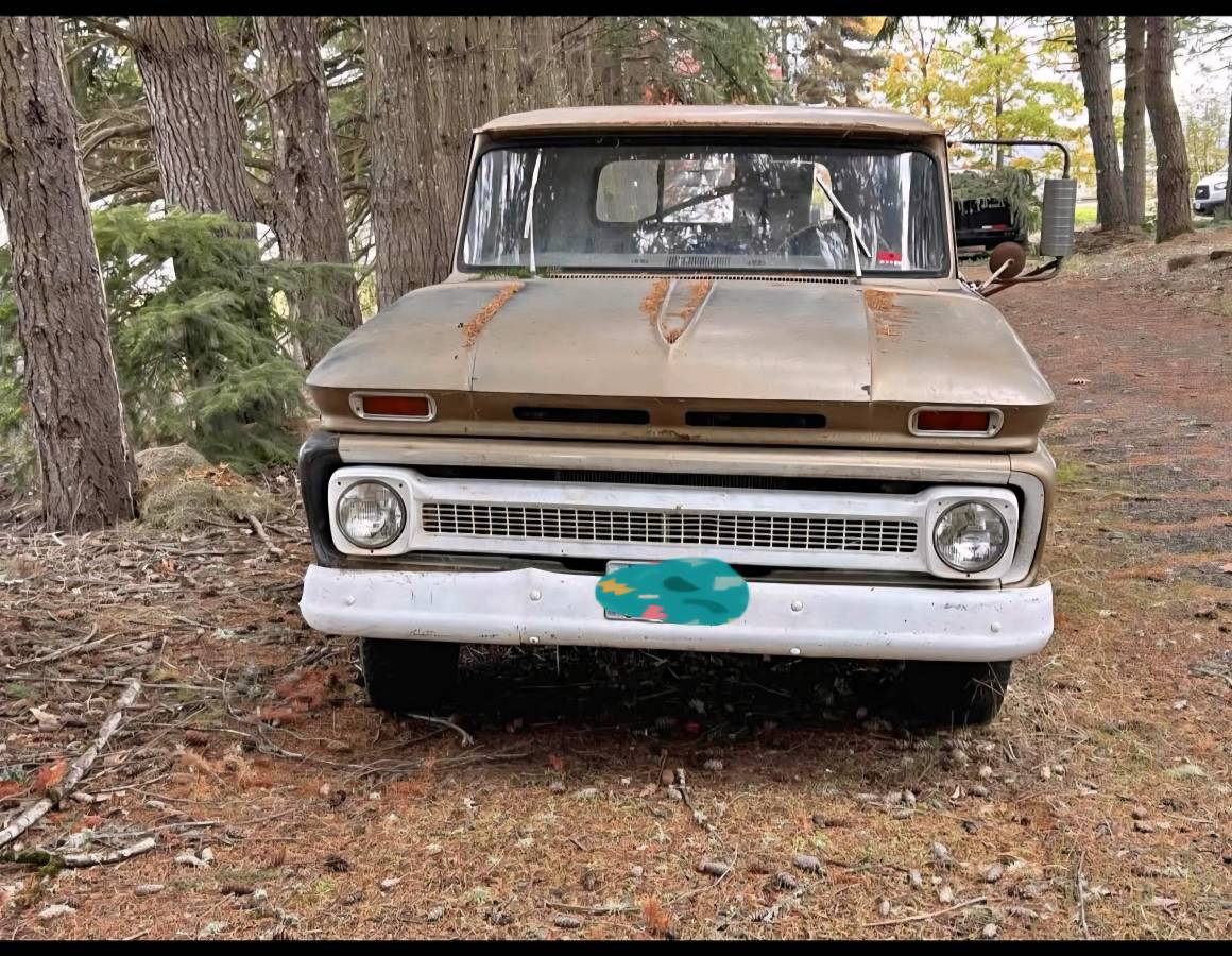 Chevy-cheyenne-c20-1966-brown-2