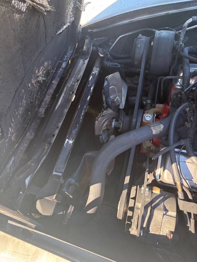 Chevy-corvette-1979-white-6