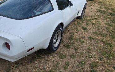 Chevy-corvette-1981-white-2