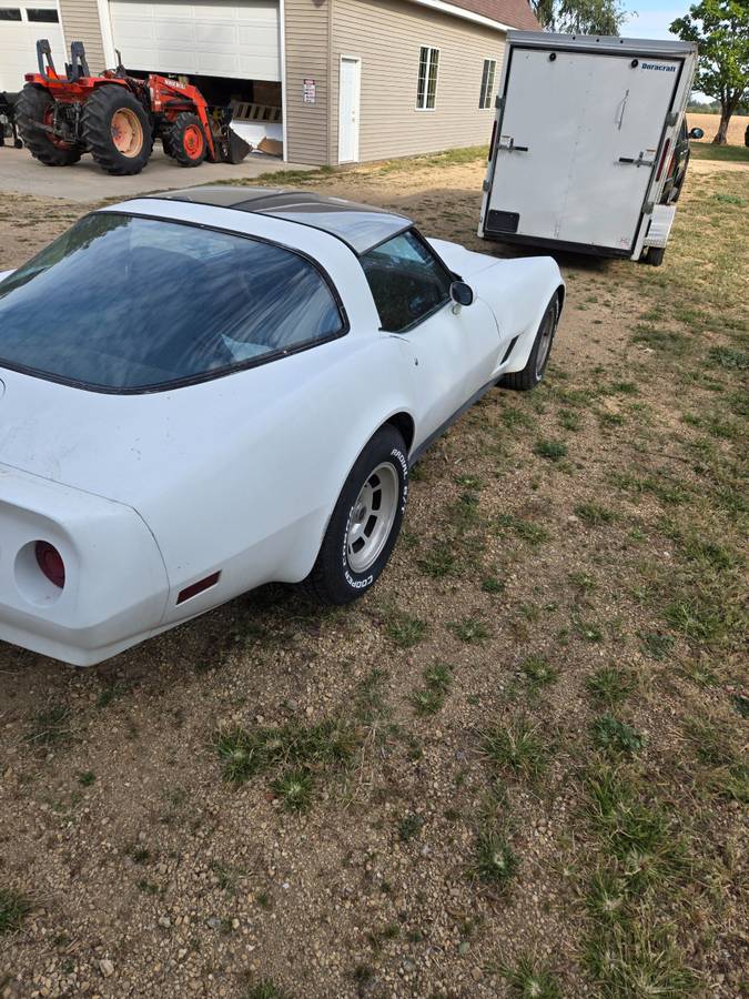 Chevy-corvette-1981-white-2