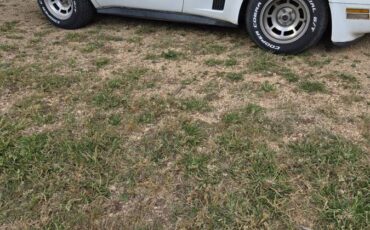 Chevy-corvette-1981-white-3