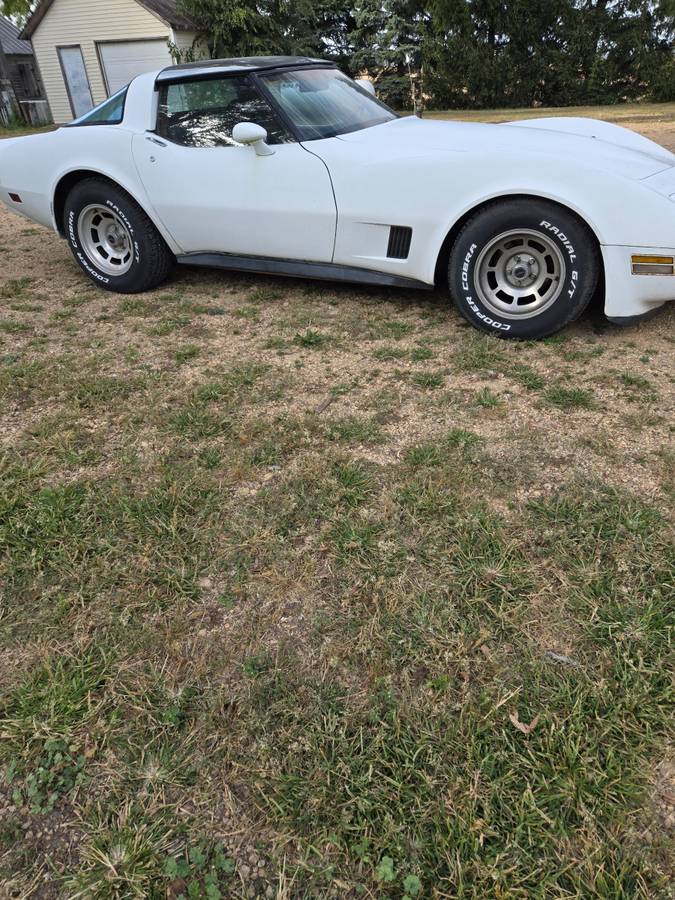 Chevy-corvette-1981-white-3