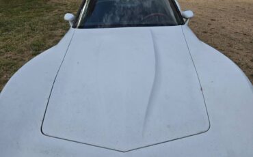 Chevy-corvette-1981-white-4