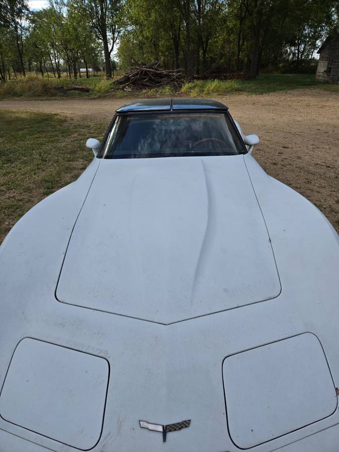 Chevy-corvette-1981-white-4