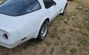 Chevy-corvette-1981-white-5
