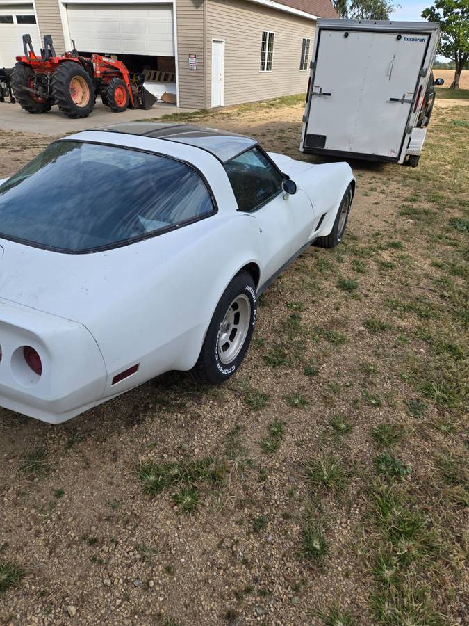 Chevy-corvette-1981-white-5