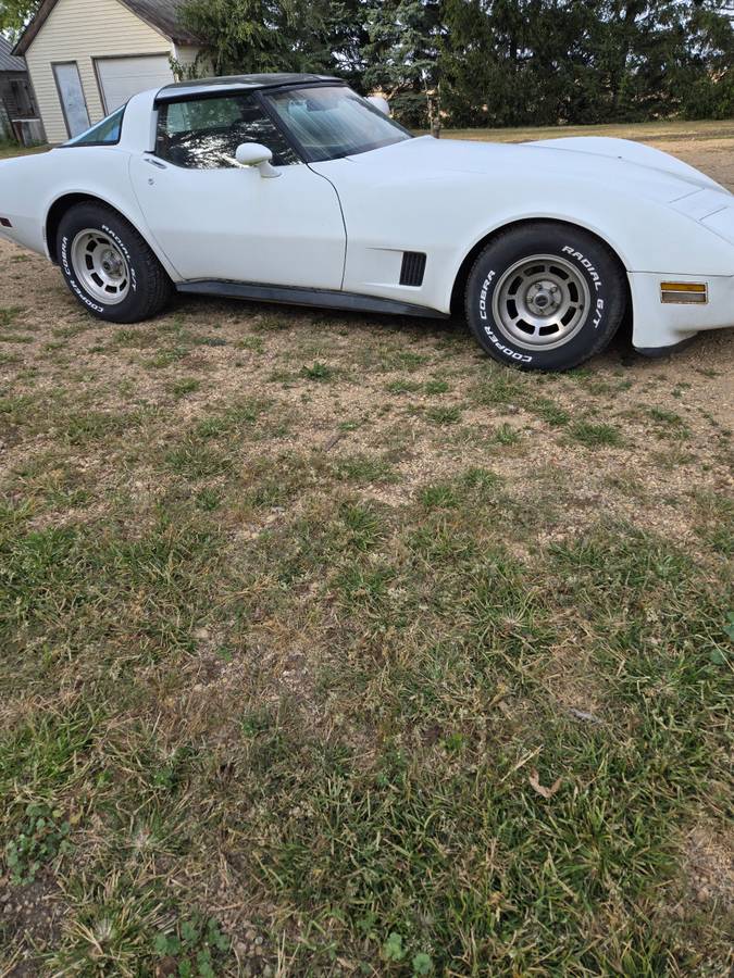 Chevy-corvette-1981-white-6