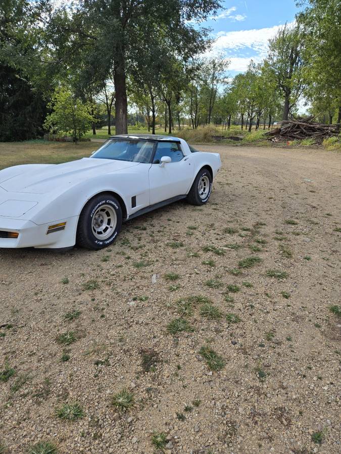 Chevy-corvette-1981-white