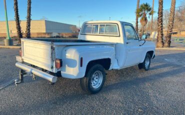 Chevy-custom-deluxe-1977-2