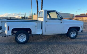 Chevy-custom-deluxe-1977-3