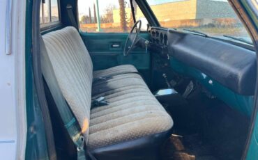 Chevy-custom-deluxe-1977-4