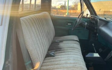 Chevy-custom-deluxe-1977-5