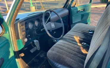 Chevy-custom-deluxe-1977-9