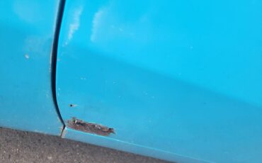 Chevy-impala-ss-1965-20