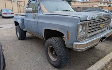 Chevy-k10-4x4-1974-grey-1
