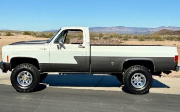 Chevy-k20-1973-white-6