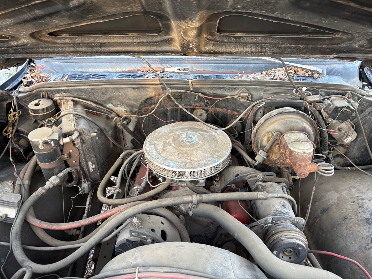 Chevy-k20-1976-black-5