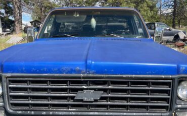 Chevy-k20-4x4-2500-camper-special-1976-10