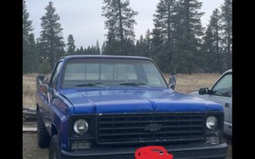 Chevy-k20-4x4-2500-camper-special-1976-15