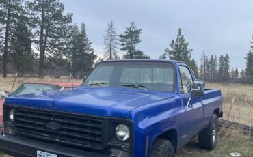 Chevy-k20-4x4-2500-camper-special-1976-7