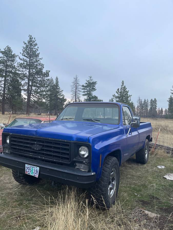 Chevy-k20-4x4-2500-camper-special-1976-7