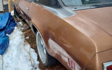 Chevy-malibu-1976-11