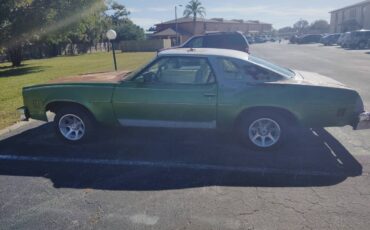 Chevy-malibu-1976-green
