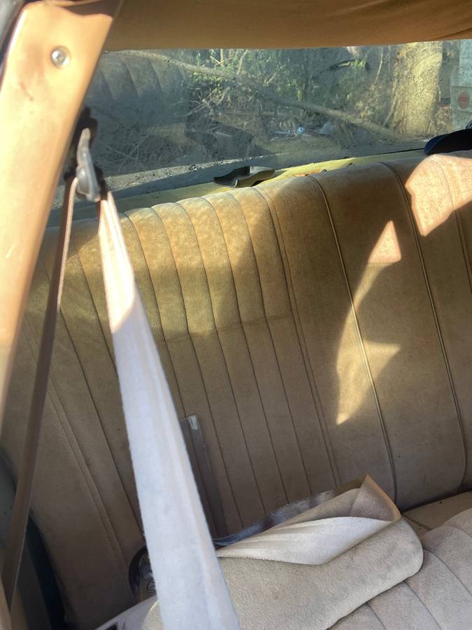 Chevy-monte-carlo-1987-3