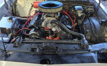 Chevy-monte-carlo-ss-1985-silver-36