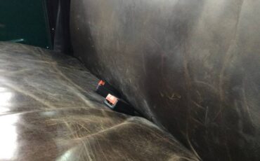 Chevy-pickup-1937-green-47