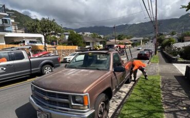 Chevy-pickup-1994-brown-1