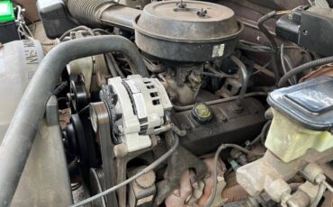 Chevy-pickup-1994-brown-2