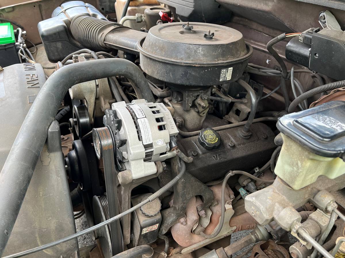 Chevy-pickup-1994-brown-2