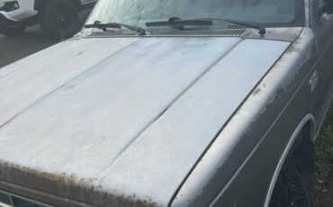 Chevy-s10-1988-silver-2