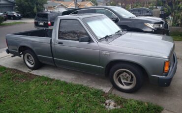 Chevy-s10-1989-grey-1